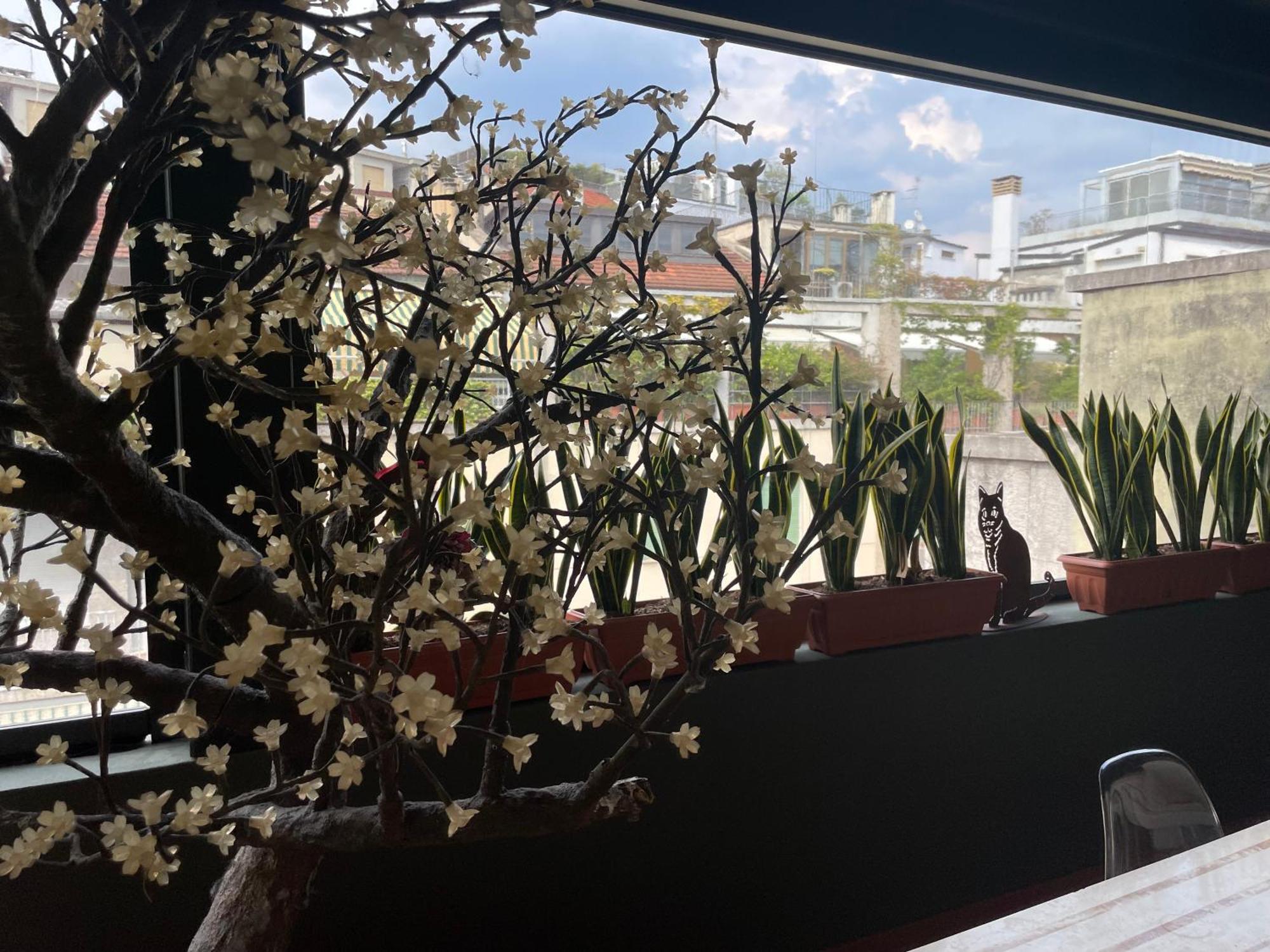 La Fontana Tra I Tetti - Appartement