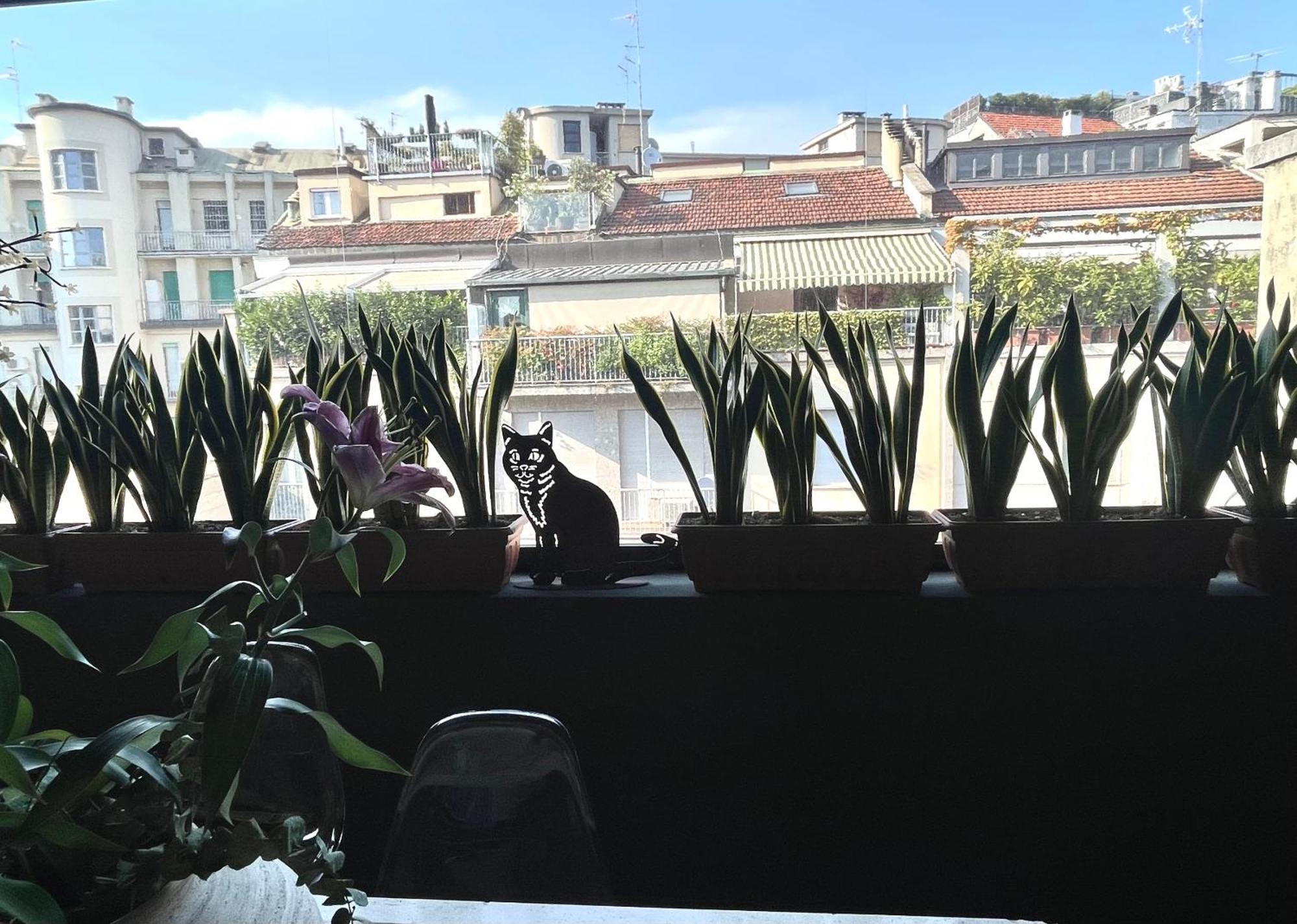 La Fontana Tra I Tetti -